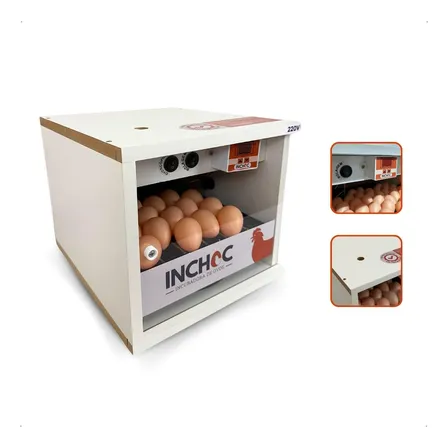 Chocadeira 28 Ovos Galinha Codorna Angola Varias Aves Inchoc 220v