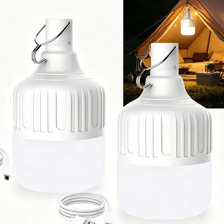 Kit 2 Lampiões Led Recarregáveis Usb 40w Campining E Barraca Branco 127/220v